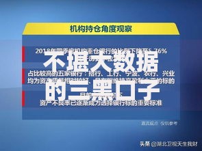 不堪大数据的三黑口子如何识别与防范风险指南