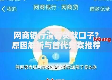 网商银行没有贷款口子？原因解析与替代方案推荐
