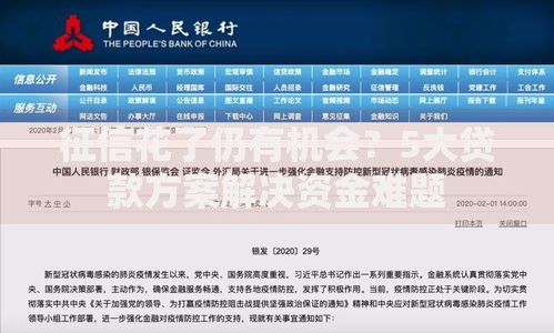 征信花了仍有机会？5大贷款方案解决资金难题