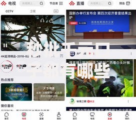 秒批千元口子都有哪些？最新正规平台推荐指南