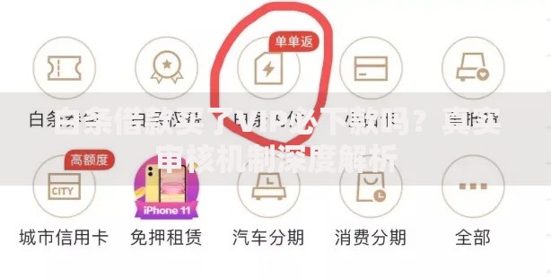 白条借款买了VIP必下款吗?真实审核机制深度解析 白条借款买了VIP必下款吗?真实审核机制深度解析