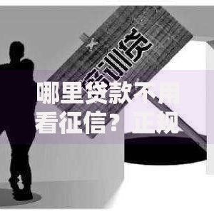 哪里贷款不用看征信？正规渠道与风险解析