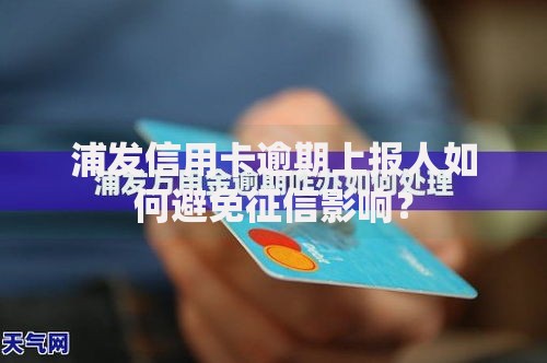 浦发信用卡逾期上报人如何避免征信影响？