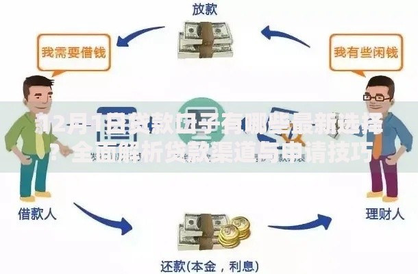 12月1日贷款口子有哪些最新选择？全面解析贷款渠道与申请技巧