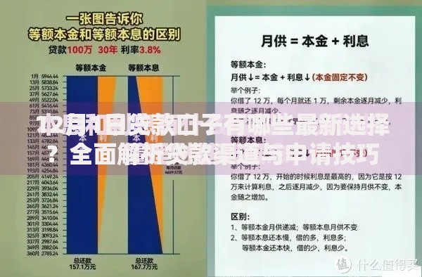 12月1日贷款口子有哪些最新选择？全面解析贷款渠道与申请技巧