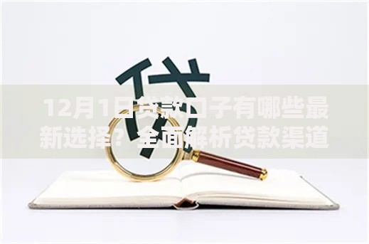 12月1日贷款口子有哪些最新选择？全面解析贷款渠道与申请技巧