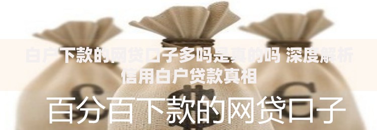 白户下款的网贷口子多吗是真的吗 深度解析信用白户贷款真相