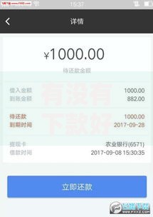 有没有下款好口子？如何选择正规贷款渠道