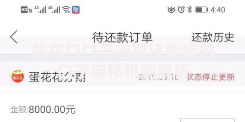 黑花口口子逾期还能借的口子审核机制解析