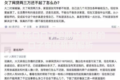 黑花口口子逾期还能借的口子审核机制解析
