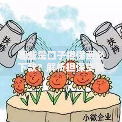 哪些是口子担保费必下款？解析担保贷款核心要素
