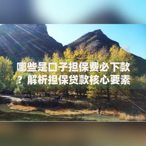 哪些是口子担保费必下款？解析担保贷款核心要素