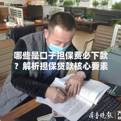 哪些是口子担保费必下款？解析担保贷款核心要素