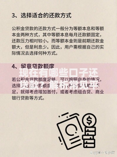 现在有哪些口子还贷款？解析常见平台及选择技巧