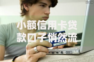小额信用卡贷款口子悄然流行：为何成为消费新趋势？