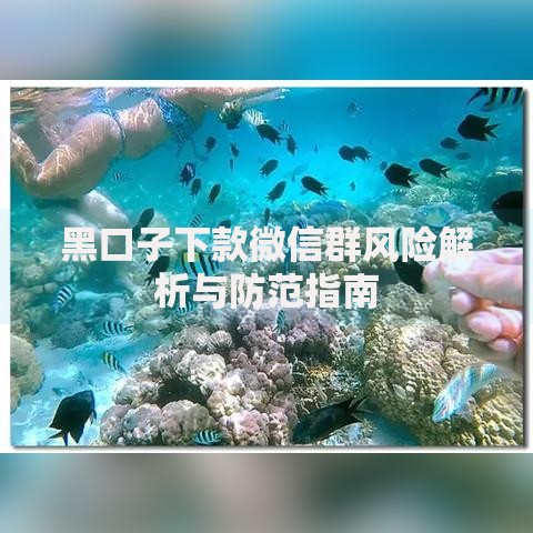 黑口子下款微信群风险解析与防范指南