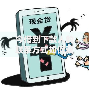 今借到下款人的联系方式如何获取？合法途径详解