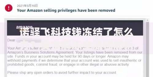 诺驿飞科技钱冻结了怎么办？资金解冻全流程解析