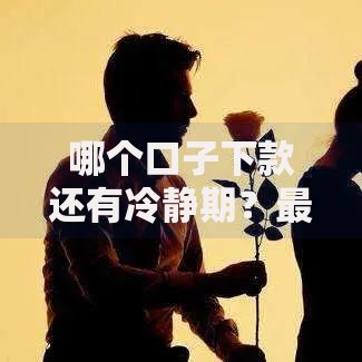 哪个口子下款还有冷静期?最新政策深度解读 哪个口子下款还有冷静期?最新政策深度解读