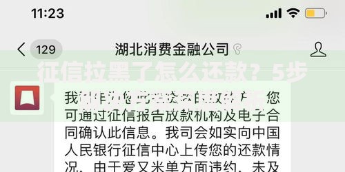 征信拉黑了怎么还款?5步解决方案深度解析 征信拉黑了怎么还款?5步解决方案深度解析