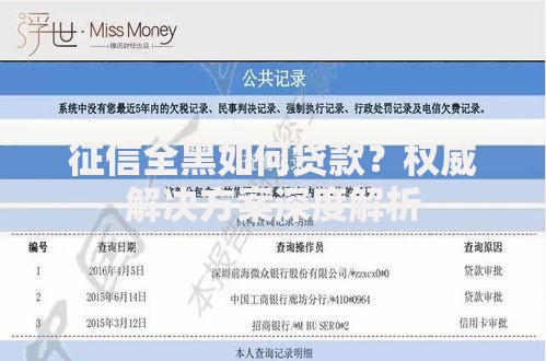 征信全黑如何贷款?权威解决方案深度解析 征信全黑如何贷款?权威解决方案深度解析