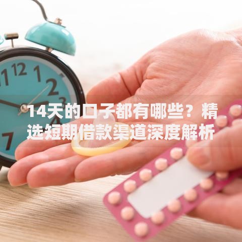 14天的口子都有哪些？精选短期借款渠道深度解析