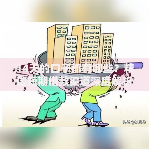 14天的口子都有哪些？精选短期借款渠道深度解析