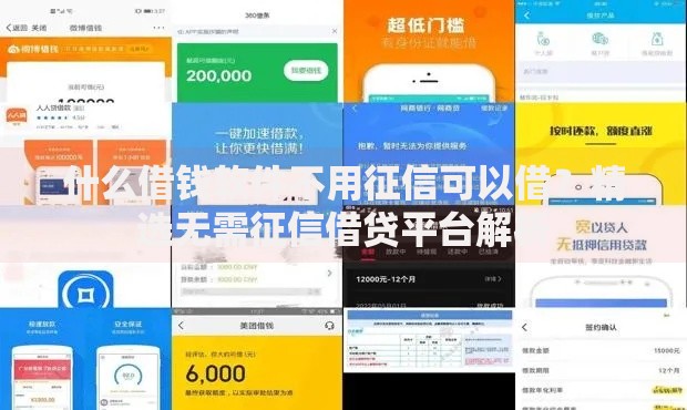 什么借钱软件不用征信可以借?精选无需征信借贷平台解析 什么借钱软件不用征信可以借?精选无需征信借贷平台解析