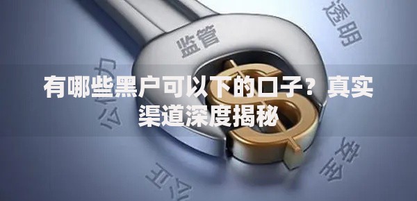 有哪些黑户可以下的口子?真实渠道深度揭秘 有哪些黑户可以下的口子?真实渠道深度揭秘