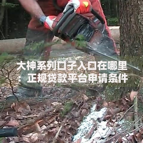 大神系列口子入口在哪里:正规贷款平台申请条件及安全指南 大神系列口子入口在哪里:正规贷款平台申请条件及安全指南
