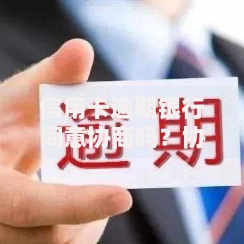 信用卡逾期银行同意协商吗？协商条件及流程深度解析