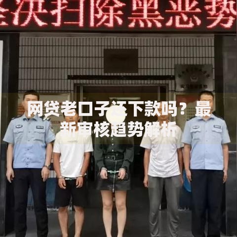 网贷老口子还下款吗？最新审核趋势解析
