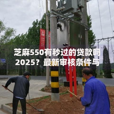 芝麻550有秒过的贷款吗2025？最新审核条件与平台解析