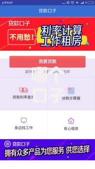 哪个口子贷款最好下？权威解析正规平台申请攻略