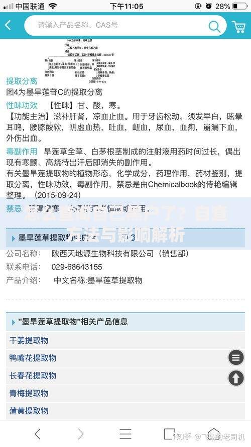 怎么查询自己黑户了？自查方法与影响解析