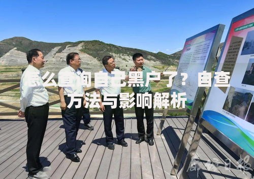 怎么查询自己黑户了？自查方法与影响解析