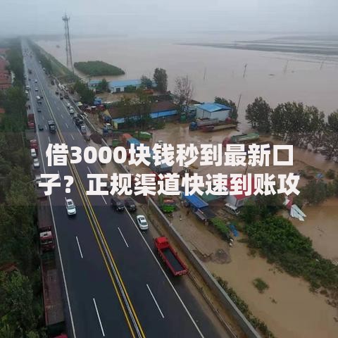 借3000块钱秒到最新口子？正规渠道快速到账攻略