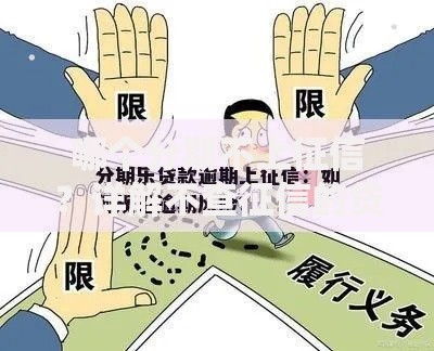哪个分期不上征信？详解不查征信的贷款渠道及风险