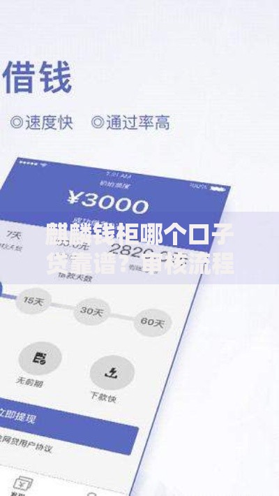 麒麟钱柜哪个口子贷靠谱？审核流程、资质要求全解析