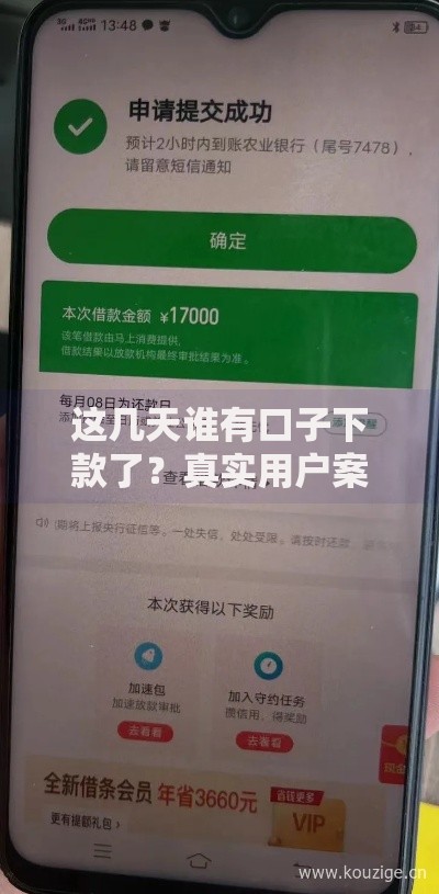 这几天谁有口子下款了？真实用户案例深度揭秘
