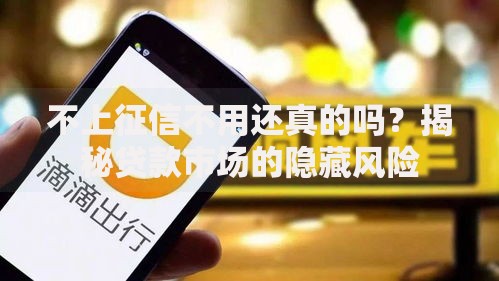 不上征信不用还真的吗？揭秘贷款市场的隐藏风险