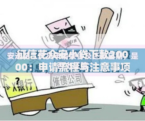 征信花众安小贷下款20000：申请流程与注意事项解析