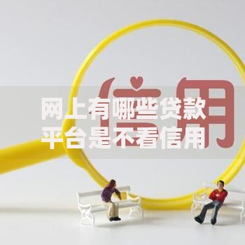 网上有哪些贷款平台是不看信用的？深度解析指南