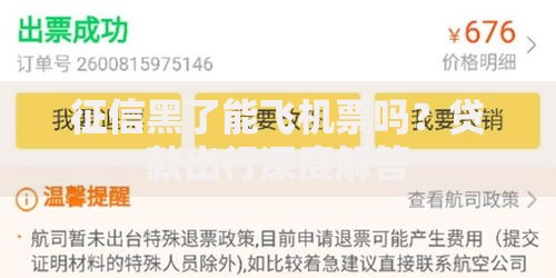 征信黑了能飞机票吗？贷款出行深度解答