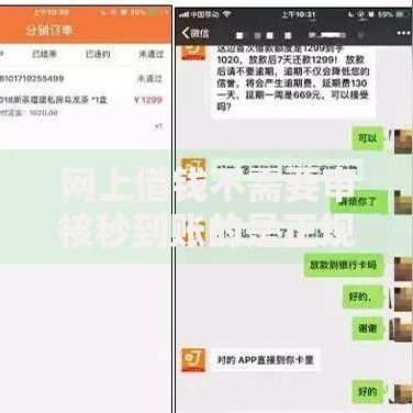 网上借钱不需要审核秒到账的是正规平台吗?风险与真相解析 网上借钱不需要审核秒到账的是正规平台吗?风险与真相解析