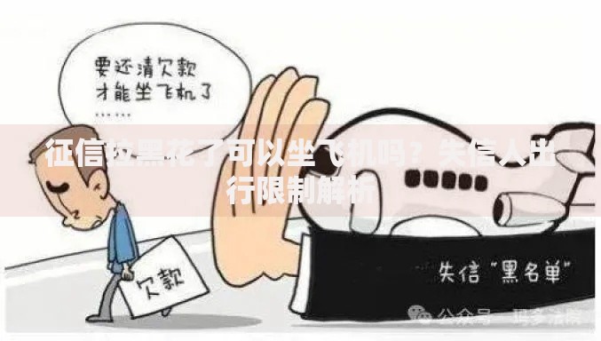 征信拉黑花了可以坐飞机吗？失信人出行限制解析