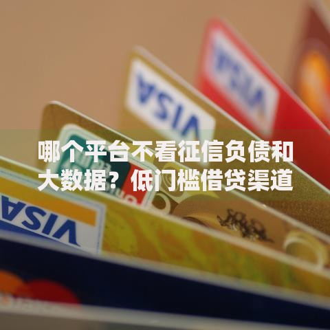 哪个平台不看征信负债和大数据？低门槛借贷渠道解析