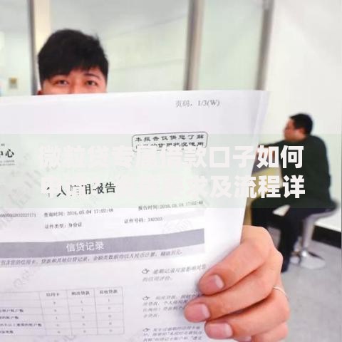 微粒贷专属借款口子如何申请？资质要求及流程详解