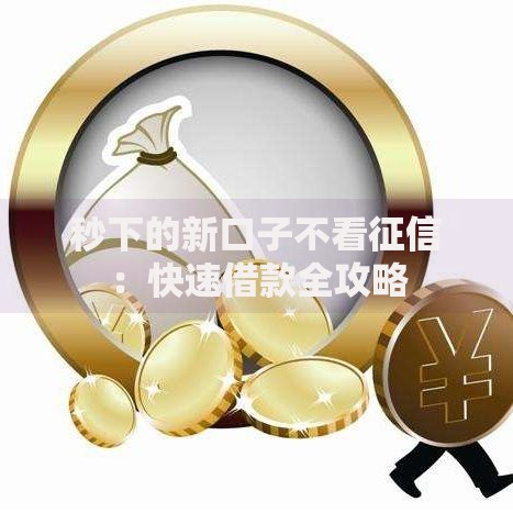 秒下的新口子不看征信：快速借款全攻略