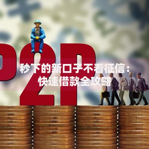 秒下的新口子不看征信：快速借款全攻略